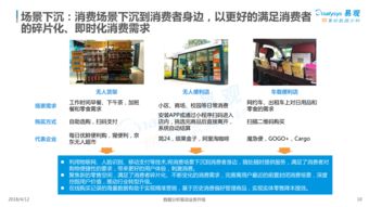 中國網(wǎng)上零售B2C市場年度綜合分析（2018年） 綜合零售行業(yè)回顧